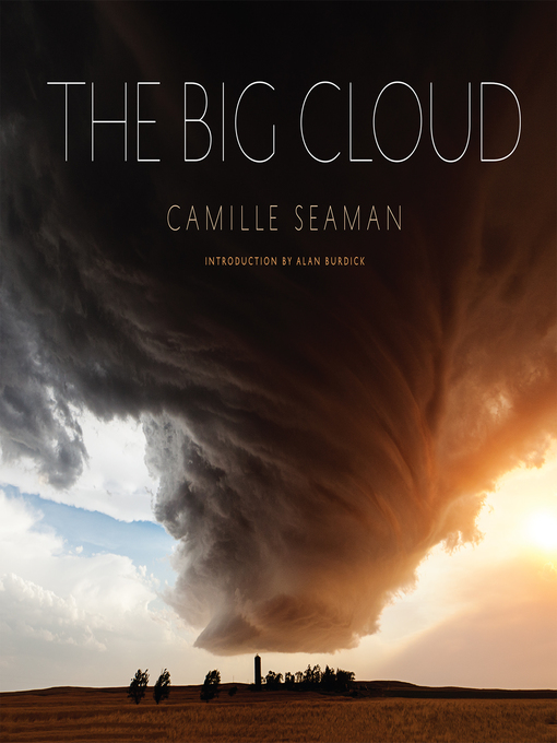 Title details for The Big Cloud by Camille Seaman - Available